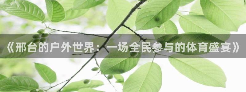 01体育赛事免费直播：《邢台的户外世界：一场全民参与的体育盛宴》