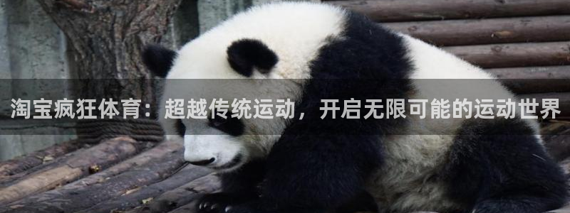01体育在线直播：淘宝疯狂体育：超越传统运动，开启无限可能的运动世界