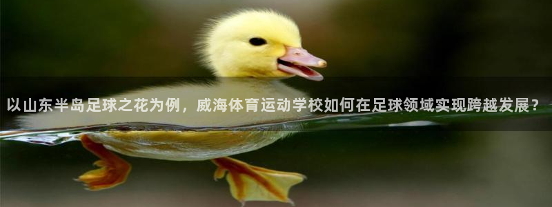 01体育直播免费下载：以山东半岛足球之花为例，威海体育运动学校如何在足球领域实现跨越发展？