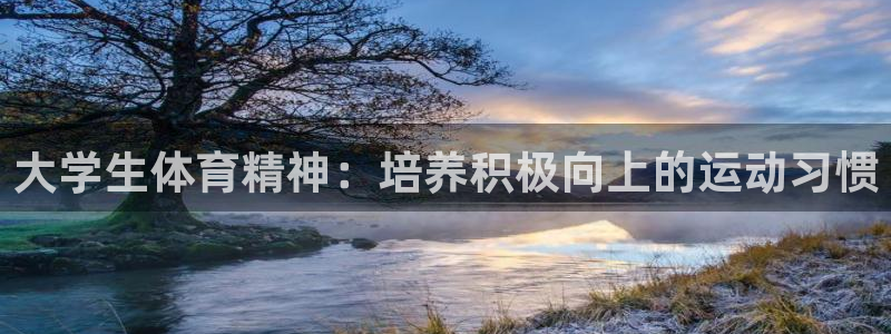01体育App下载：大学生体育精神：培养积极向上的运动习惯