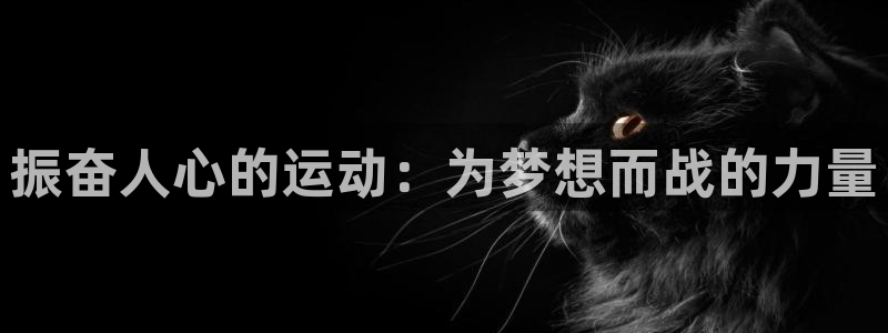 01体育直播官网入口：振奋人心的运动：为梦想而战的力量