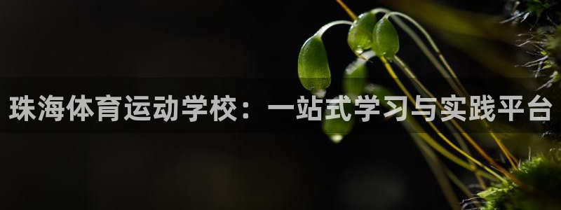 01体育软件：珠海体育运动学校：一站式学习与实践平台