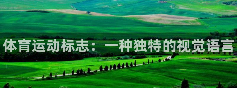 01体育赛事：体育运动标志：一种独特的视觉语言