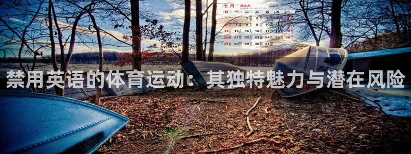 01体育直播：禁用英语的体育运动：其独特魅力与潜在风险
